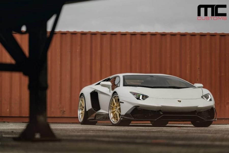  Lamborghini Aventador by MC Customs 2017 года  (фото 5 из 10)